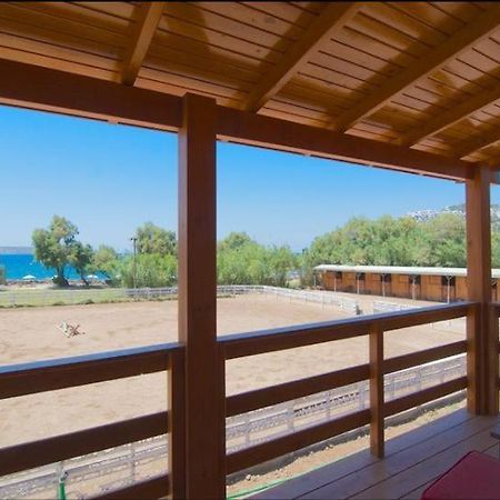 Equestrian And Beach Club Bodrum Esterno foto