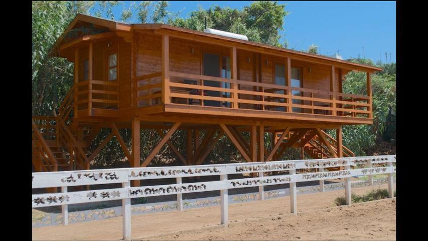 Equestrian And Beach Club Bodrum Esterno foto