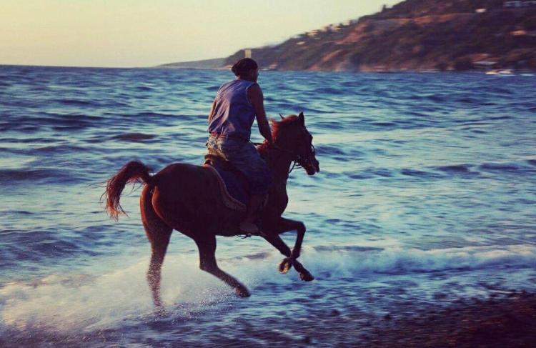 Equestrian And Beach Club Bodrum Esterno foto