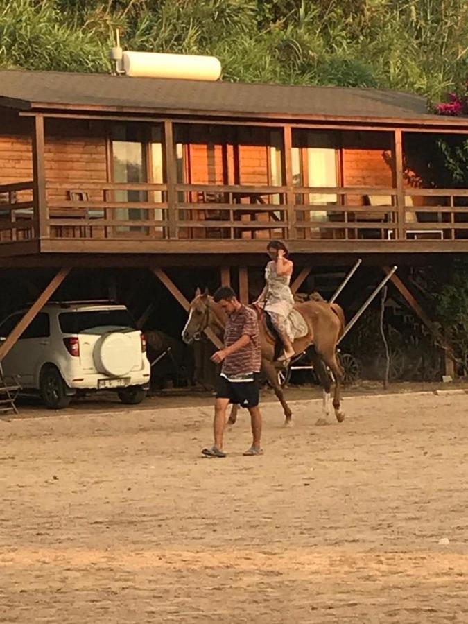 Equestrian And Beach Club Bodrum Esterno foto