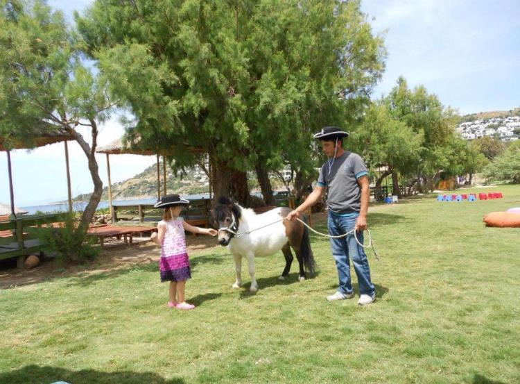 Equestrian And Beach Club Bodrum Esterno foto